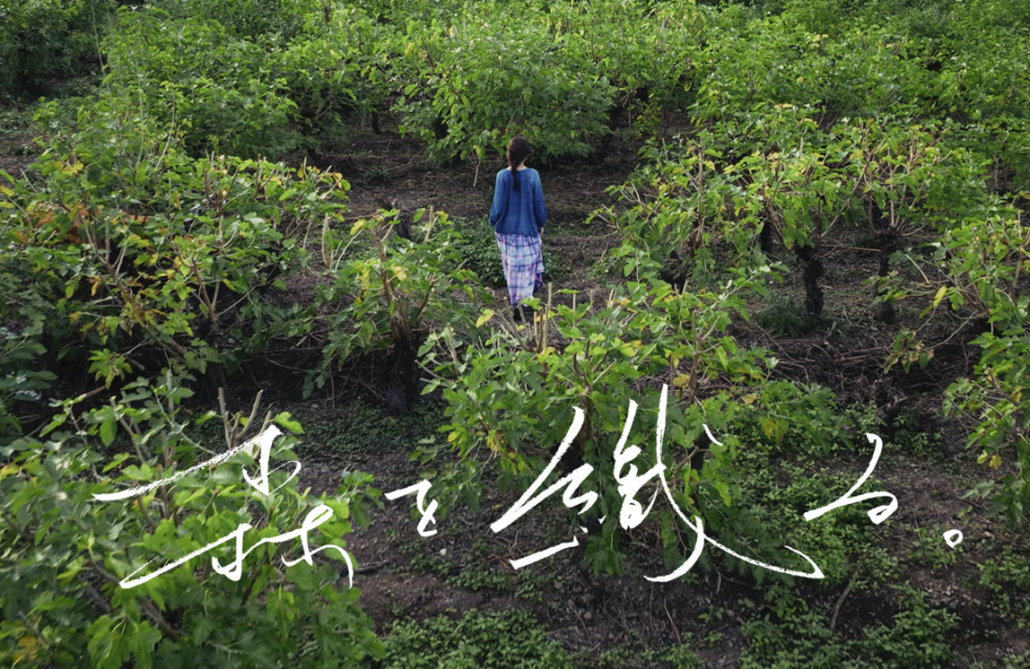 ドキュメンタリー映画『森を織る。』が完成しました! The documentary film "Weaving the Forest." is now complete!